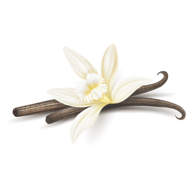 Vanilla Sun