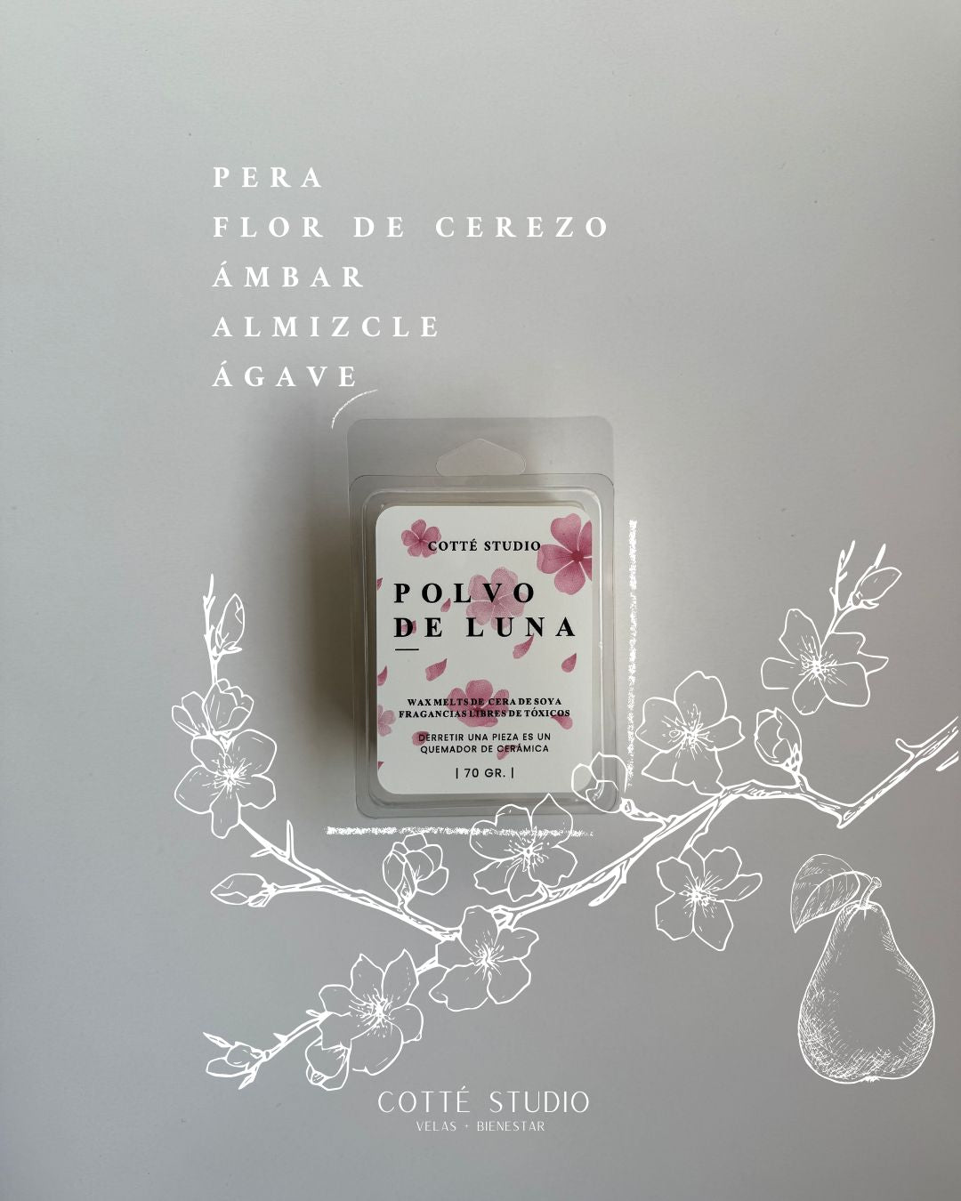 Wax Melt - Polvo de Luna